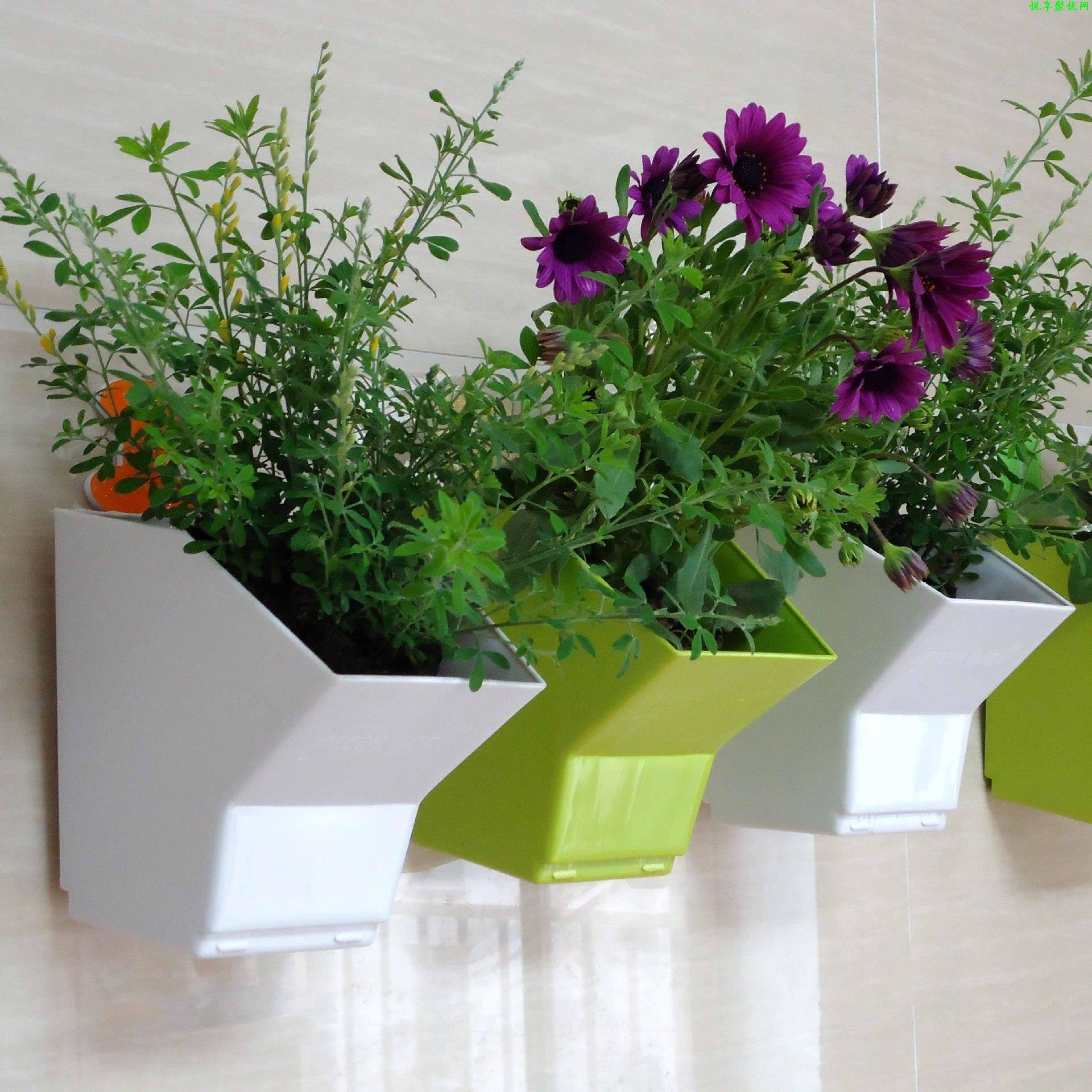 Bonsai Garden Wall - 2 pcs Wall Hanging Planter Flower