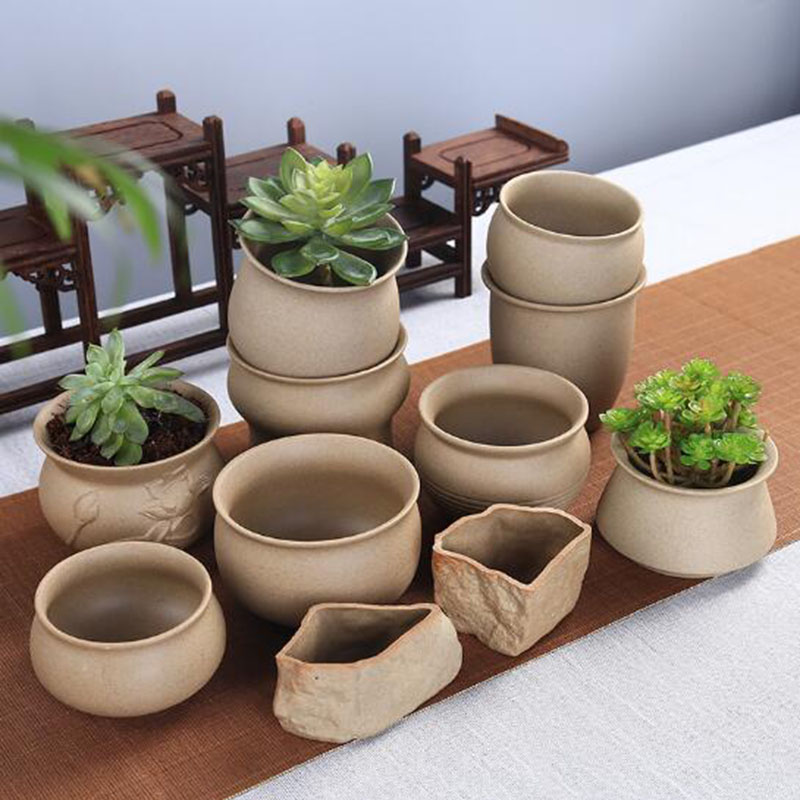 Bonsai Garden Ideas - Retro Thô Gốm Thực Vật Mọng