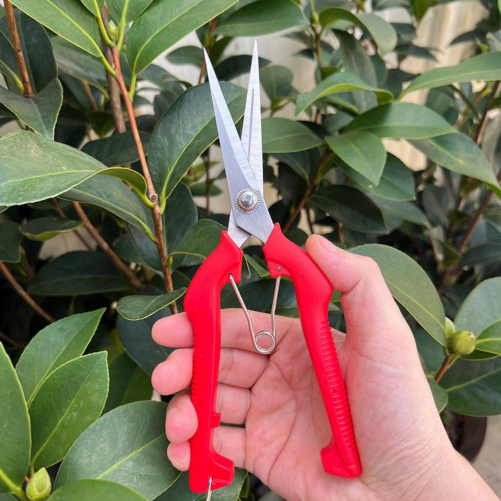 Bonsai Garden Tools - Pro Garden Pruning Shears Lengthened Tree