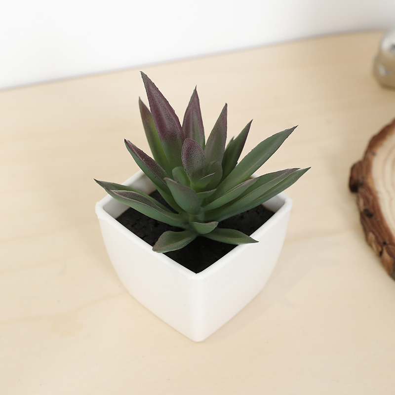 Bonsai Garden Ideas - Mini Artificial Succulent Fairy Cup Small