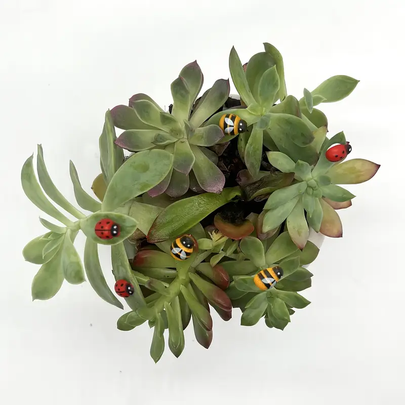 50/100 Pcs Mini Self-Adhesive  - đánh giá và giá Landscape Bonsai Garden