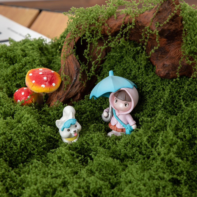 200g Eternal Life Moss DIY Cra - đánh giá và giá Landscape Bonsai Garden