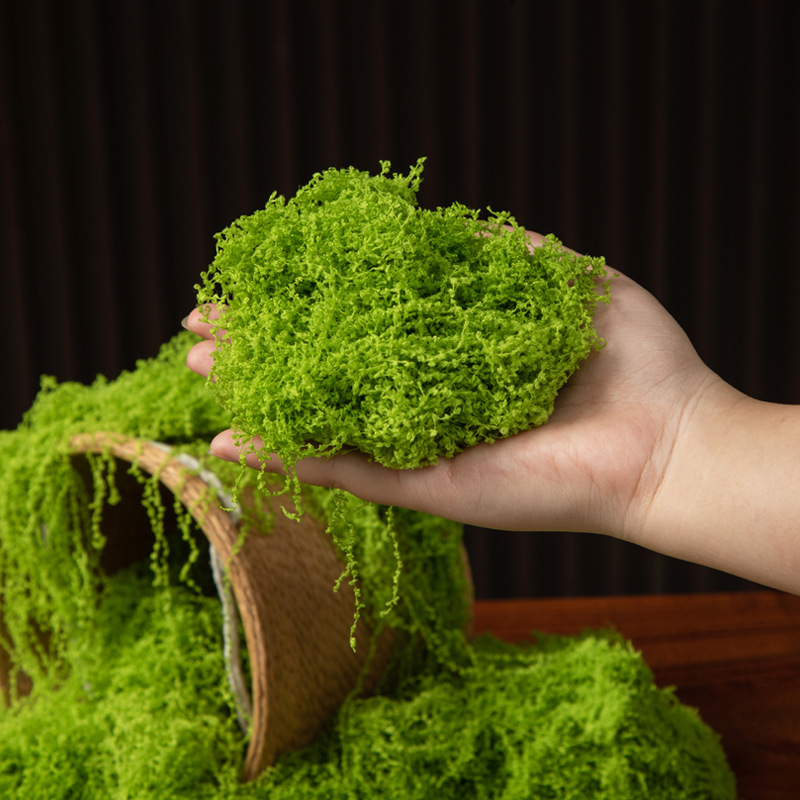 200g Eternal Life Moss DIY Cra - đánh giá và giá Landscape Bonsai Garden