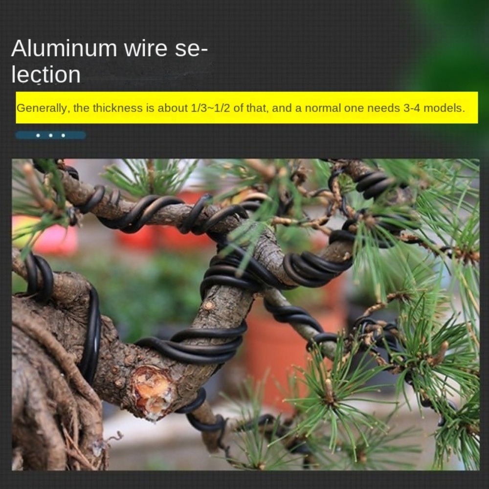 Aluminum Bonsai Wire Garden Bo - đánh giá và giá Bonsai Garden Tools