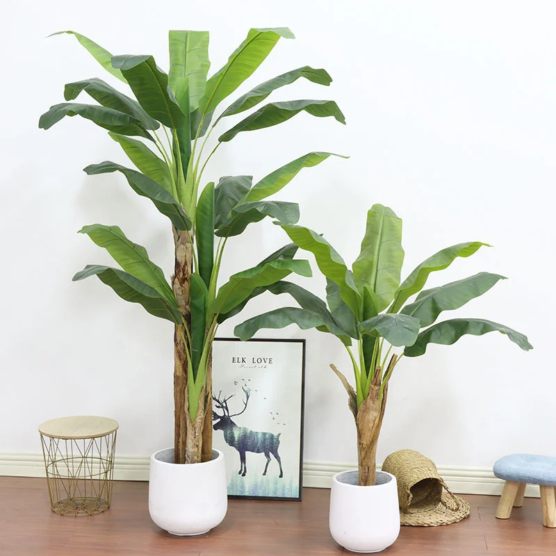 180cm/210cm Large Banana Tree  - đánh giá và giá Bonsai Garden Restaurant