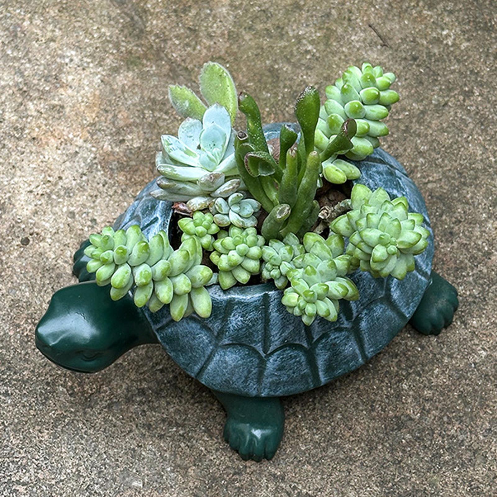 Turtle Planter Flower Pot Bons - đánh giá và giá Bonsai Garden Restaurant