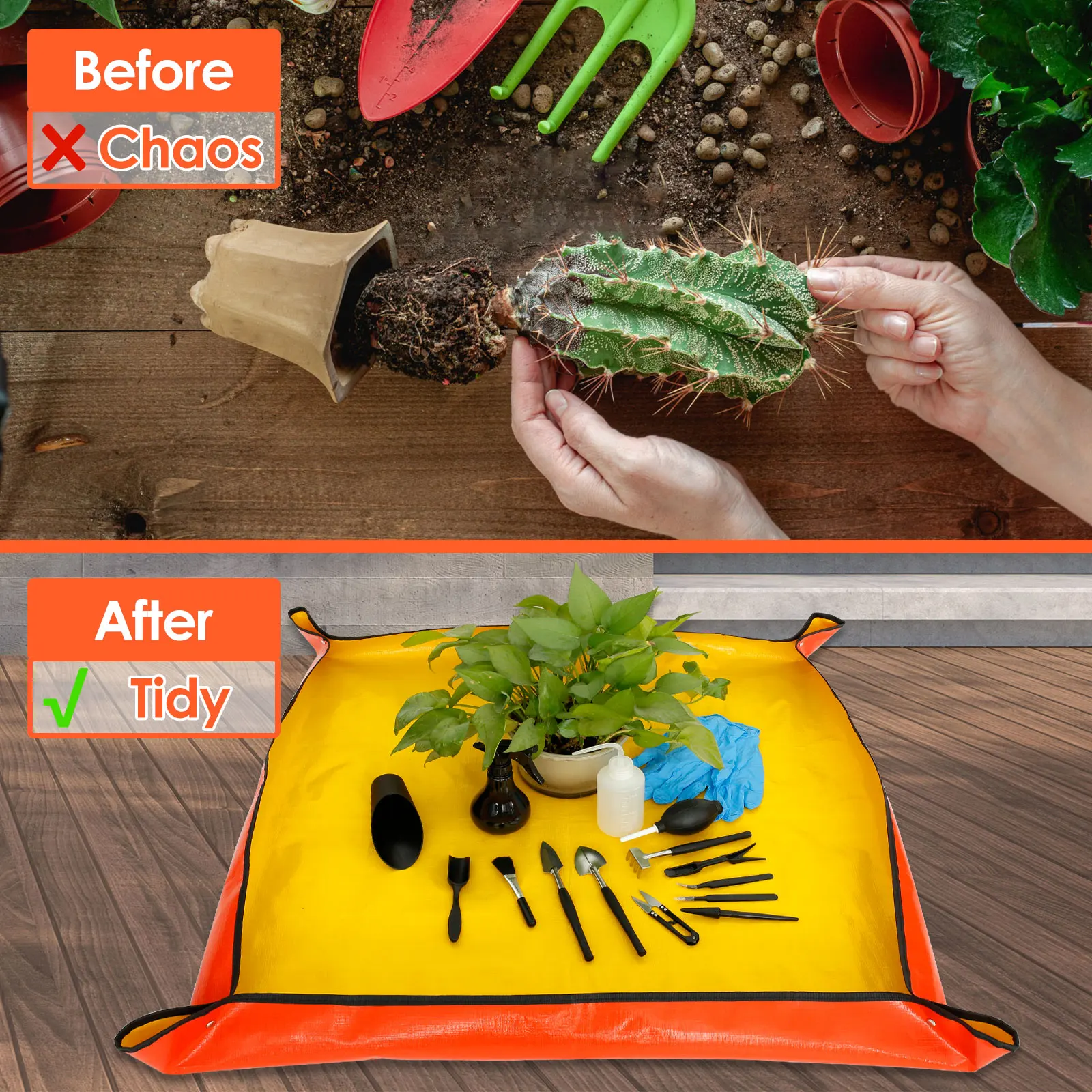13/16Pcs Garden Succulent Plan - đánh giá và giá Bonsai Garden Tools
