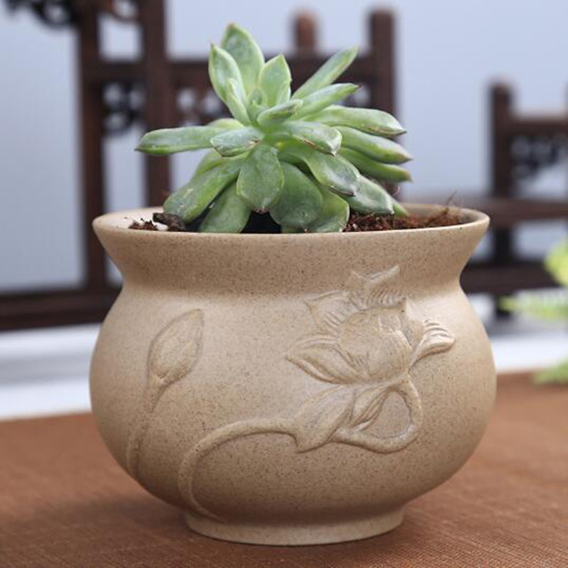 Retro Thô Gốm Thực Vật Mọng Nư - đánh giá và giá Bonsai Garden Ideas