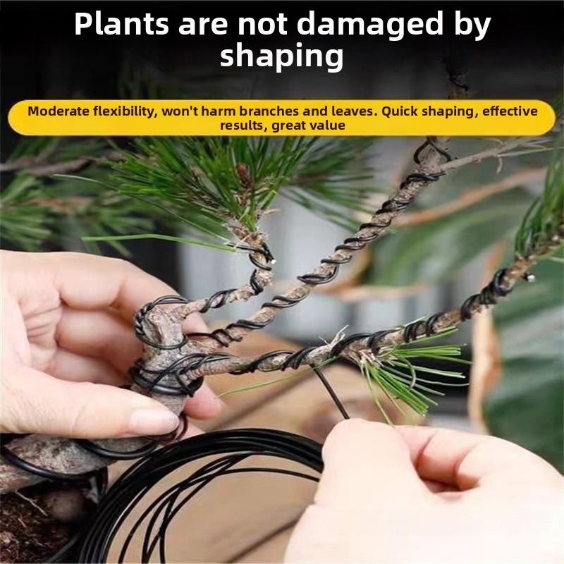 1.5MM Bonsai Wires Aluminum Bo - đánh giá và giá Bonsai Garden Tools