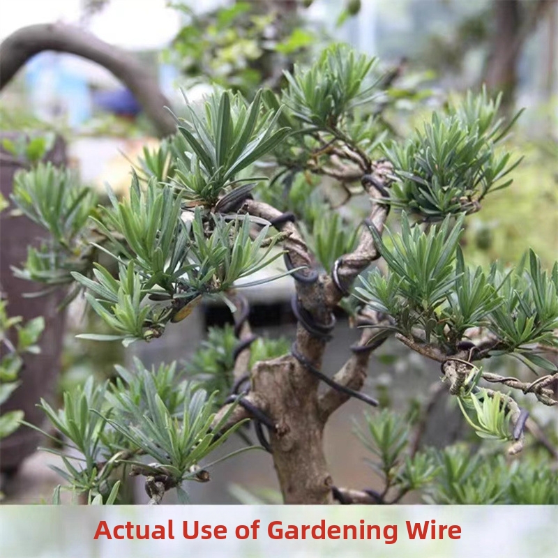 1.5MM Bonsai Wires Aluminum Bo - đánh giá và giá Bonsai Garden Tools