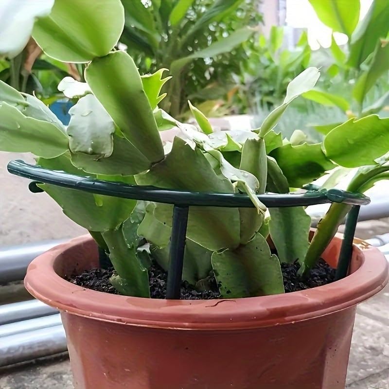 30-1PCS Plastic Plant Support  - đánh giá và giá Bonsai Garden Tools