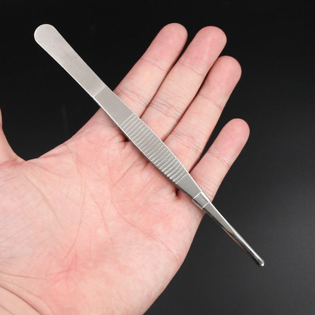 6Pcs Stainless Steel Tweezers  - đánh giá và giá Bonsai Garden Tools
