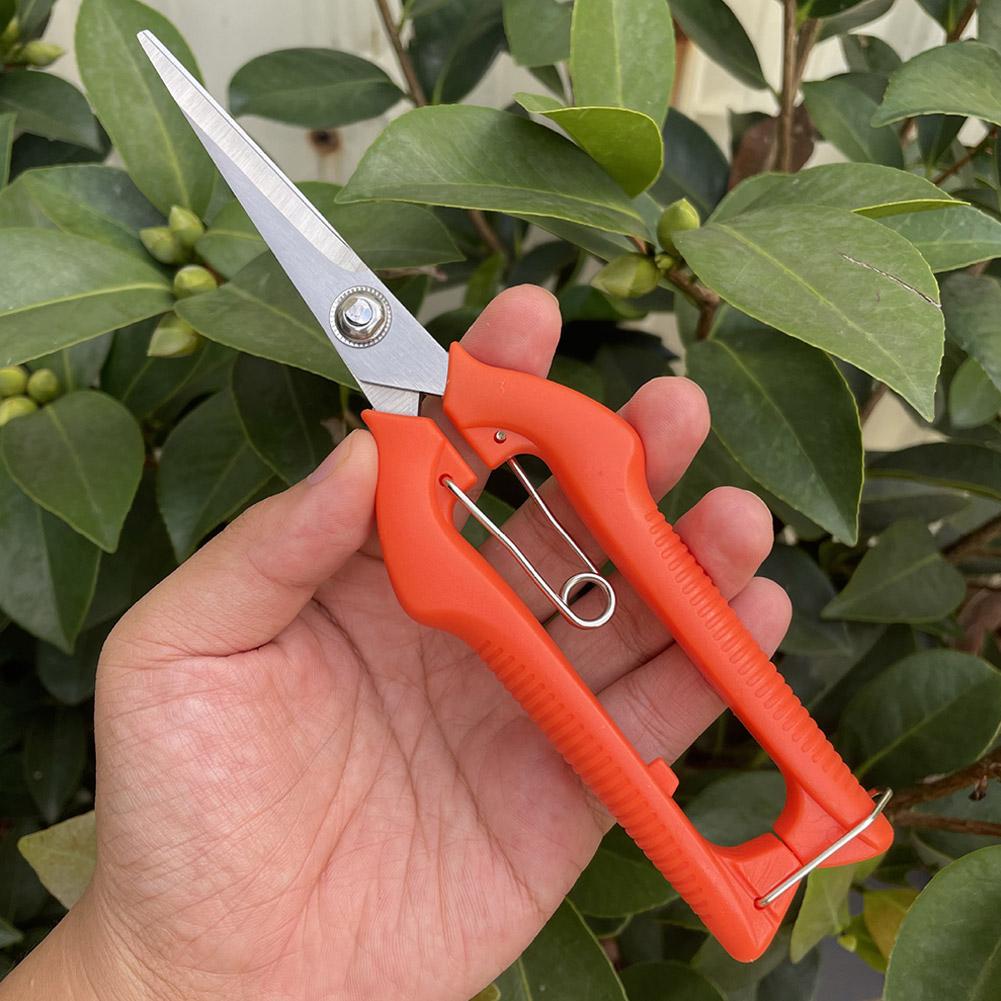 Pro Garden Pruning Shears Leng - đánh giá và giá Bonsai Garden Tools