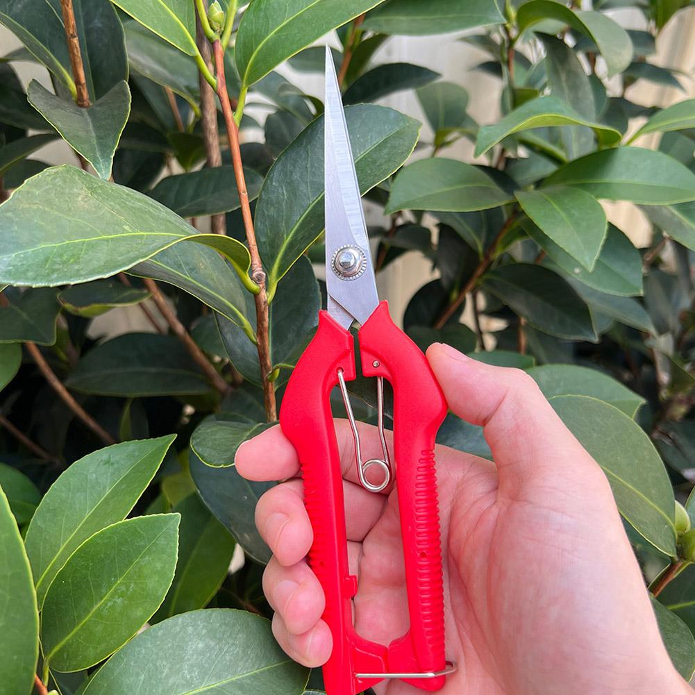 Pro Garden Pruning Shears Leng - đánh giá và giá Bonsai Garden Tools