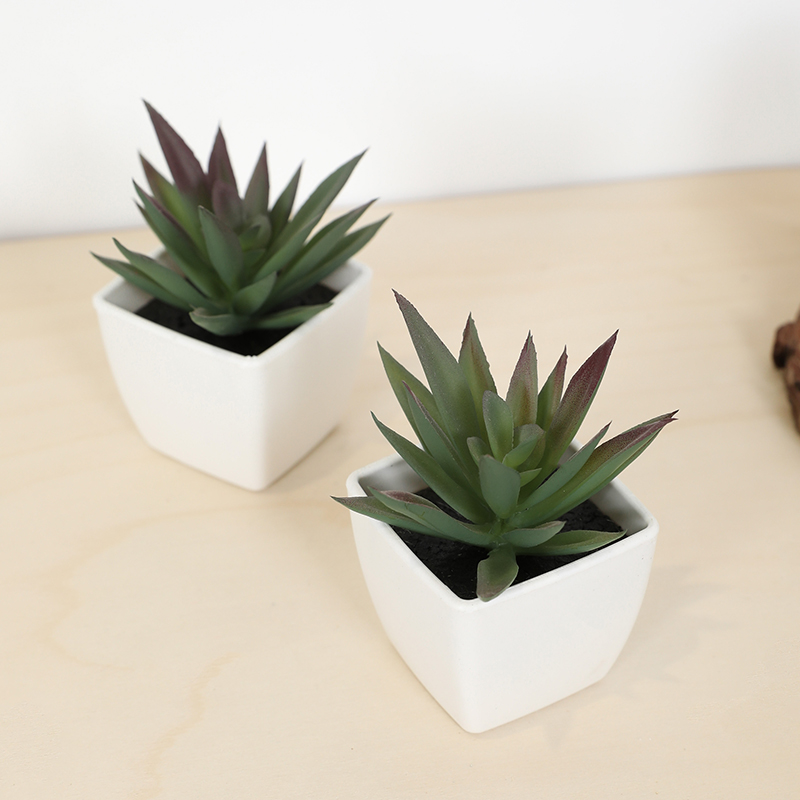 Mini Artificial Succulent Fair - đánh giá và giá Bonsai Garden Ideas