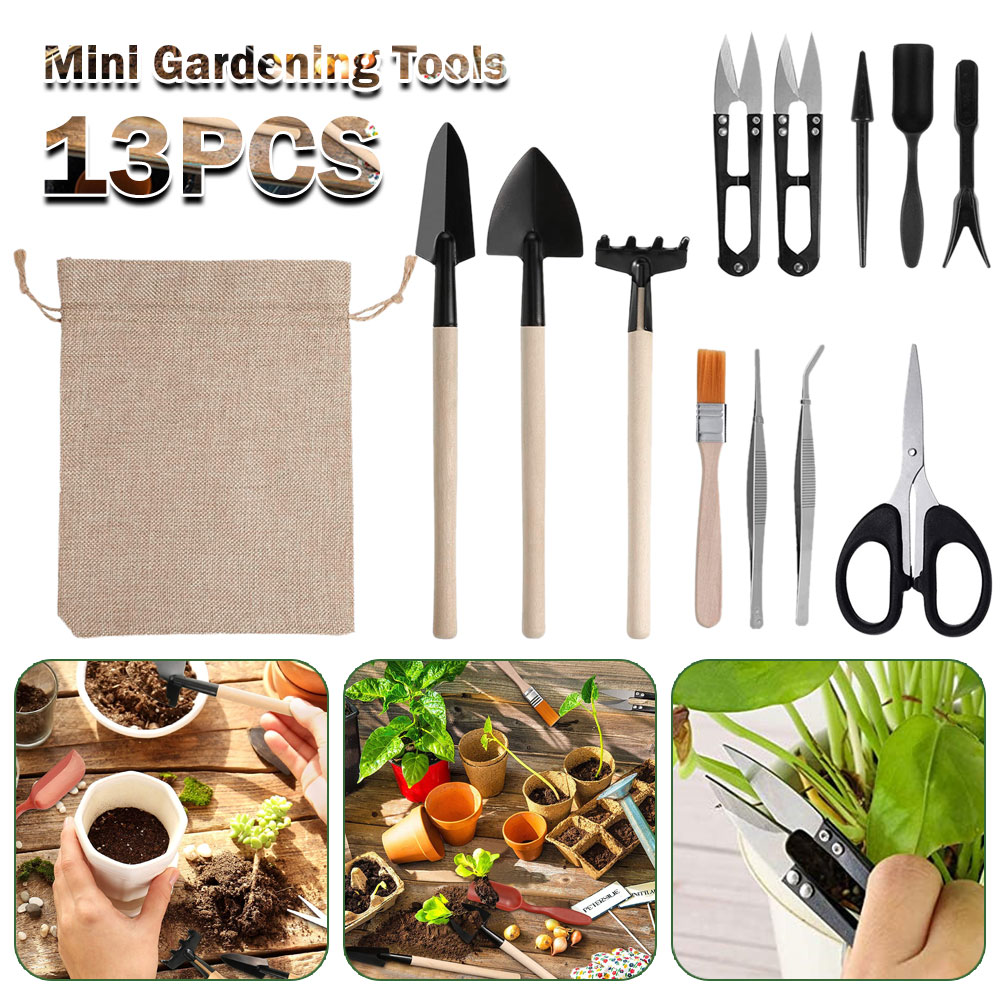 Succulent Plants Tools Mini Ga - đánh giá và giá Bonsai Garden Tools