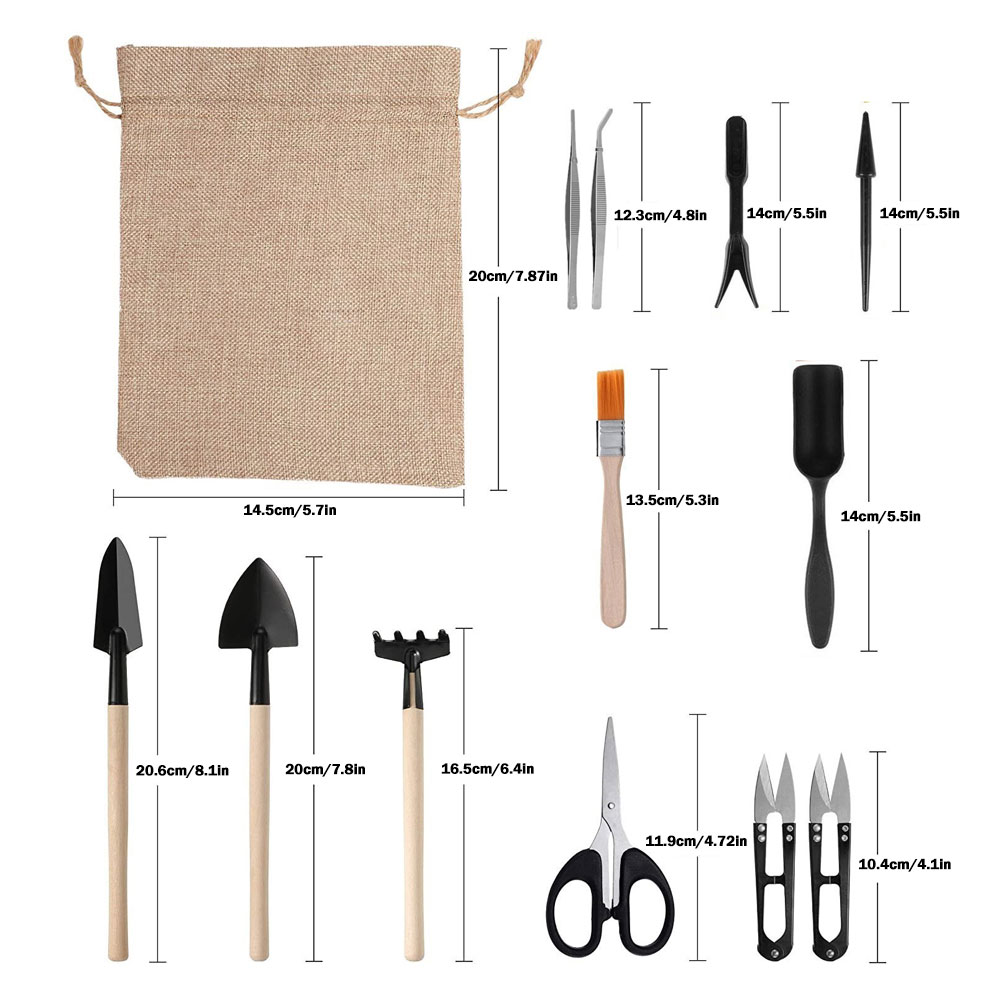 Succulent Plants Tools Mini Ga - đánh giá và giá Bonsai Garden Tools