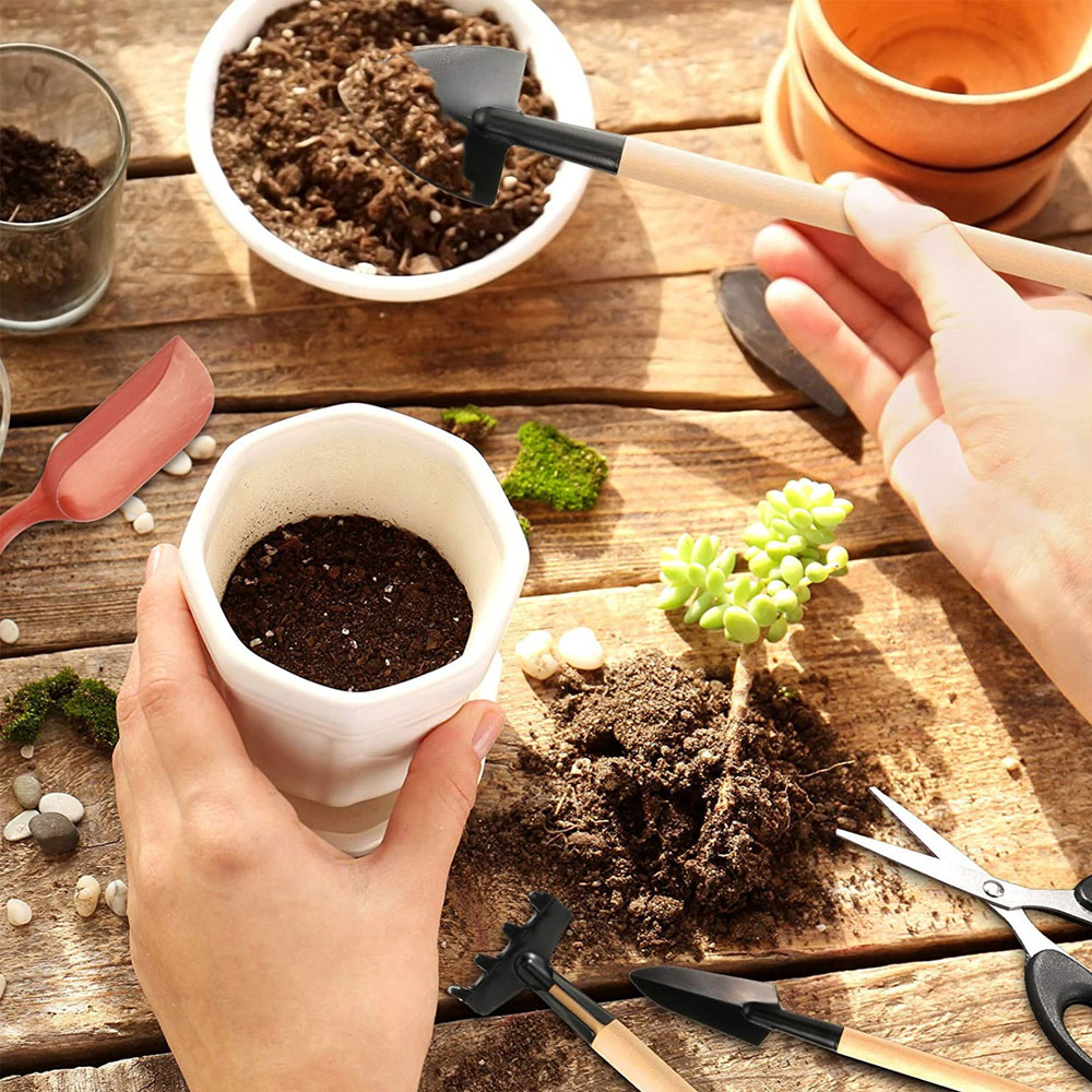Succulent Plants Tools Mini Ga - đánh giá và giá Bonsai Garden Tools